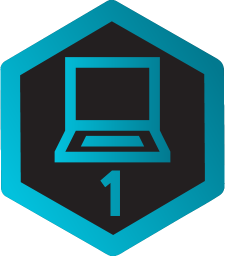Webinar Attendee