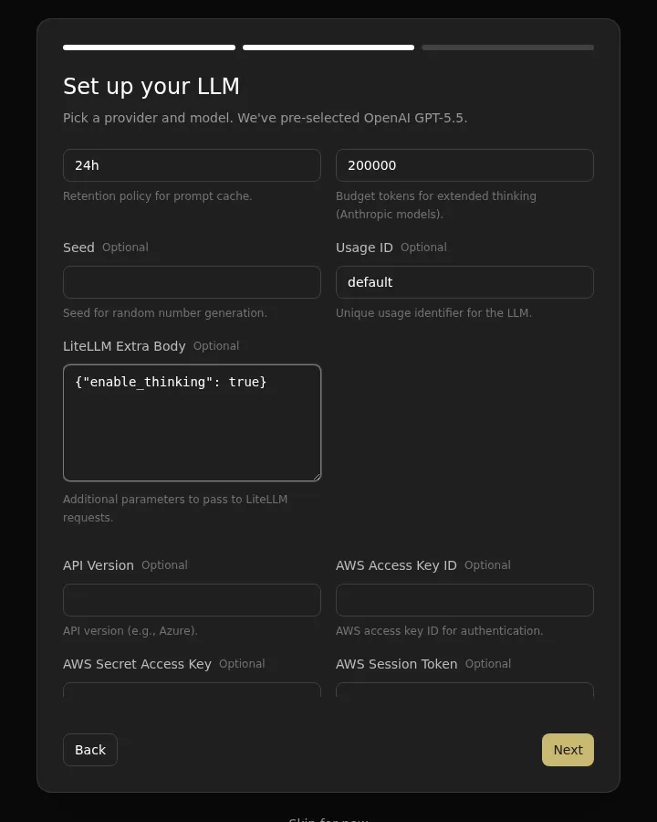 Agent Canvas first-use LLM All tab with LiteLLM extra body configured