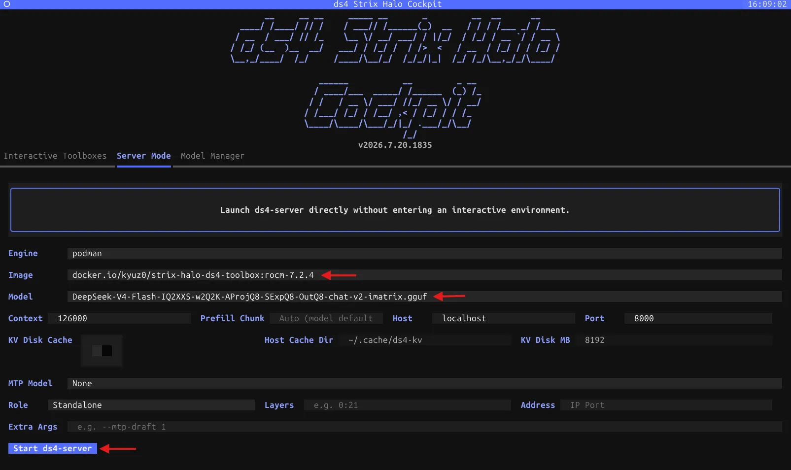 Configuring and starting the ds4 server