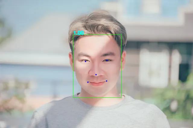 Face detection output showing bounding box, confidence score, and facial landmarks